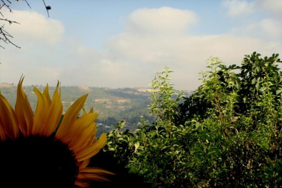 View Of The Valley Guest House Jerusalem Room photo