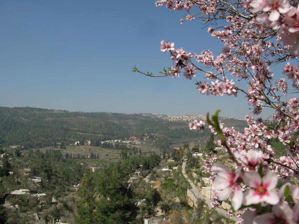 View Of The Valley Guest House Jerusalem Exterior photo